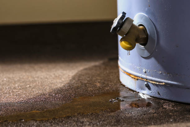 Best Basement water damage restoration  in West Bishop, CA