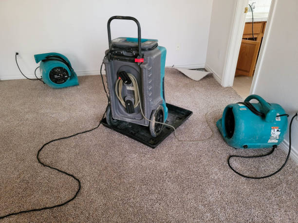 Best Flooded house restoration  in West Bishop, CA