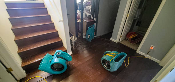 Best Ceiling water damage repair  in West Bishop, CA