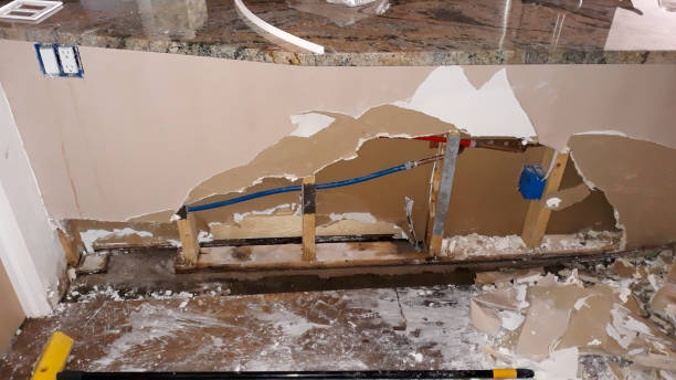 Best Commercial water damage restoration  in West Bishop, CA