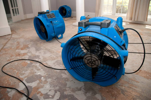  West Bishop, CA Water damage restoration Pros