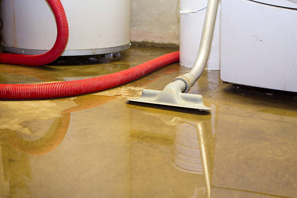 Best Sewage cleanup and water damage restoration  in West Bishop, CA