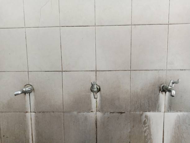 Best 24/7 water damage repair  in West Bishop, CA