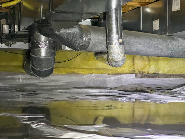 Best Local water damage restoration  in West Bishop, CA
