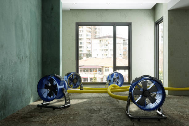Best Water damage restoration near me  in West Bishop, CA