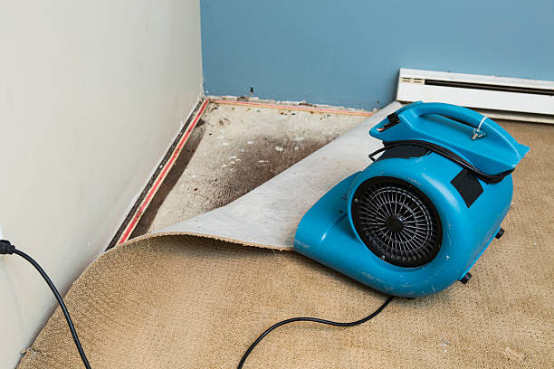 Best Water damage restoration experts  in West Bishop, CA